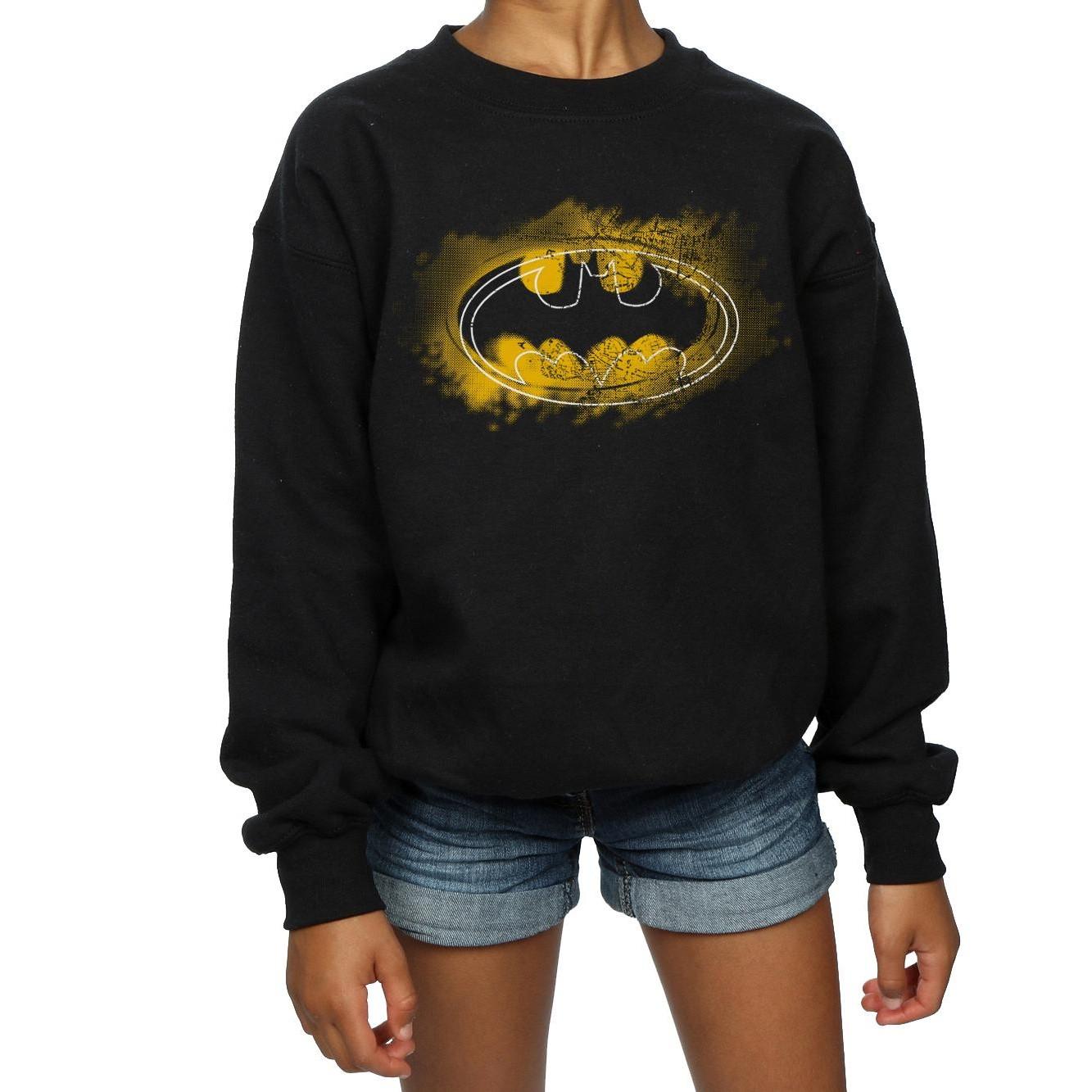 DC COMICS  Sweatshirt 