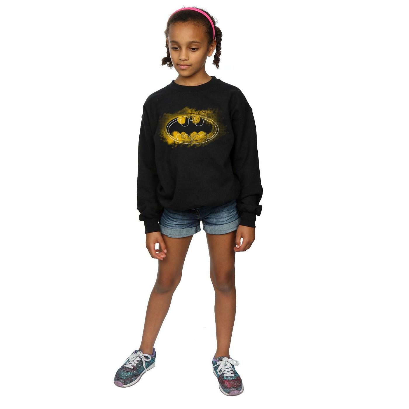 DC COMICS  Sweatshirt 