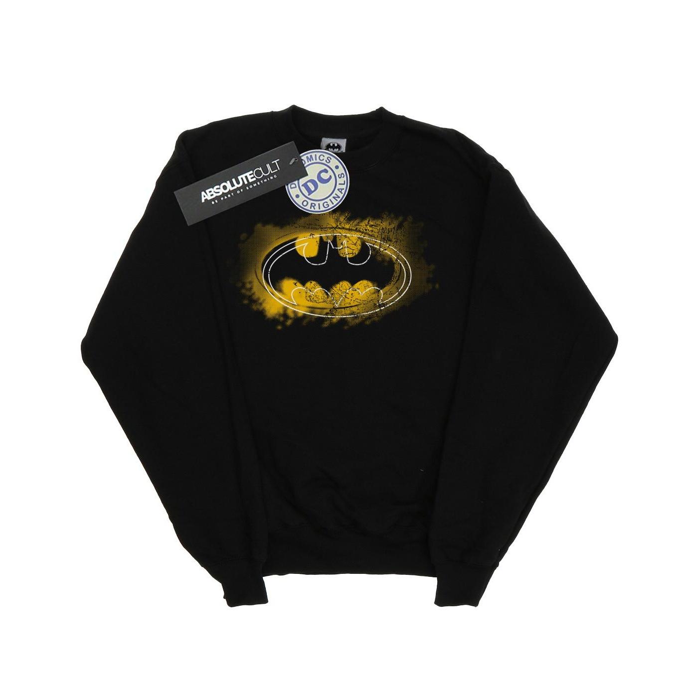 DC COMICS  Sweatshirt 