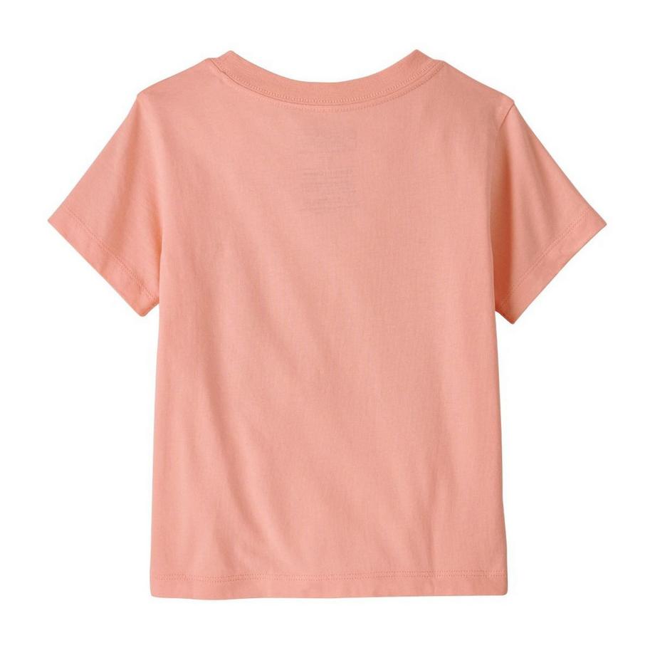 Patagonia  Baby Fitz Roy Skies T-Shirt-3A 