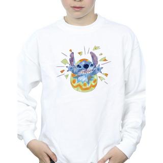 Disney  Sweatshirt 