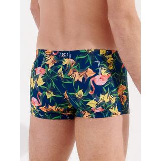 HOM Badepant Tropischer Flamingo Print  