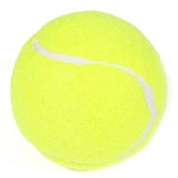 Palline da tennis per l'allenamento (set da 10)