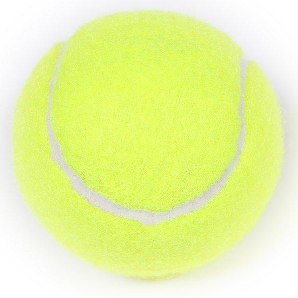 GladiatorFit  Palline da tennis per l'allenamento (set da 10) 
