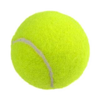 GladiatorFit  Balles de tennis pour entrainements (lot de 10) 