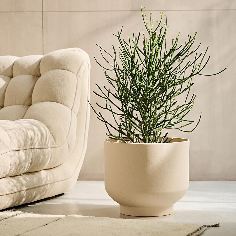 AM.PM Übertopf Florian  