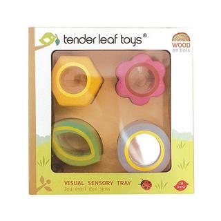 Tender Leaf Toys  Lernspiel Visual Sensorik 
