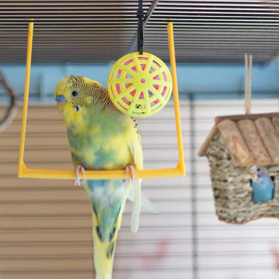 B2X  Boîte décorative 