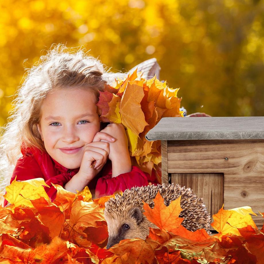 B2X  Das Igelhaus bietet einen sicheren Winterunterschlupf und schützt Igel mit seiner Rattenluke und dem Labyrintheingang vor Raubtieren. Sorgen Sie für einen ruhigen Winterschlaf an einem trockenen, geschützten Ort.


Bietet ein sicheres Winte 