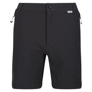 Regatta  Mountain II Shorts 