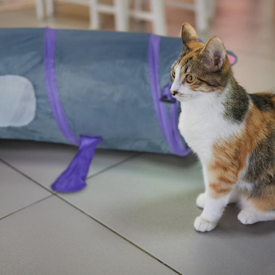 B2X  Tunnel pop-up per gatti con motivo a topo 