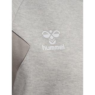 Hummel  sweatshirt à capuche huel travel 