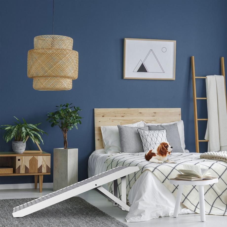 B2X  Rampa per cani regolabile in altezza 