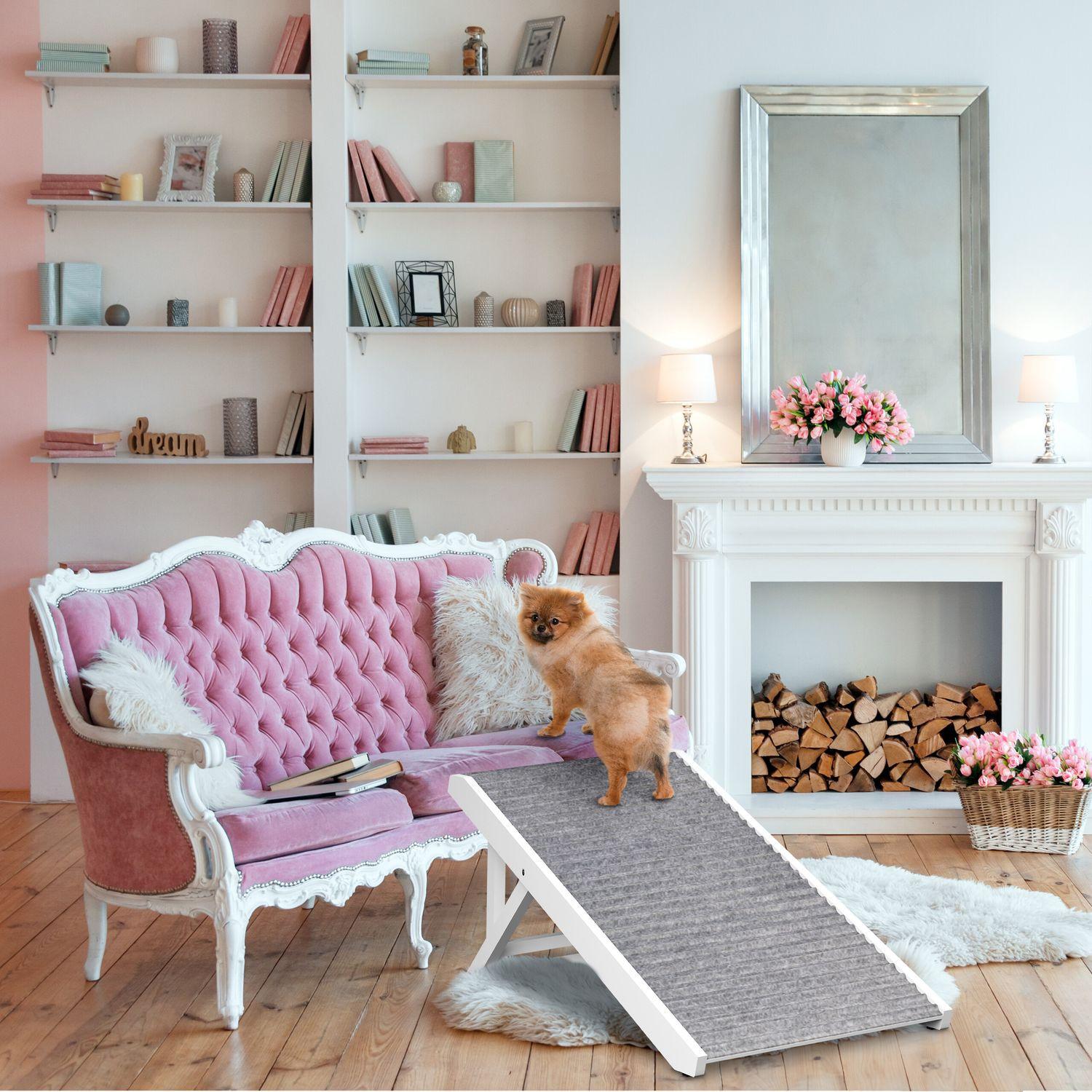 B2X  Rampe pour chien réglable en hauteur 