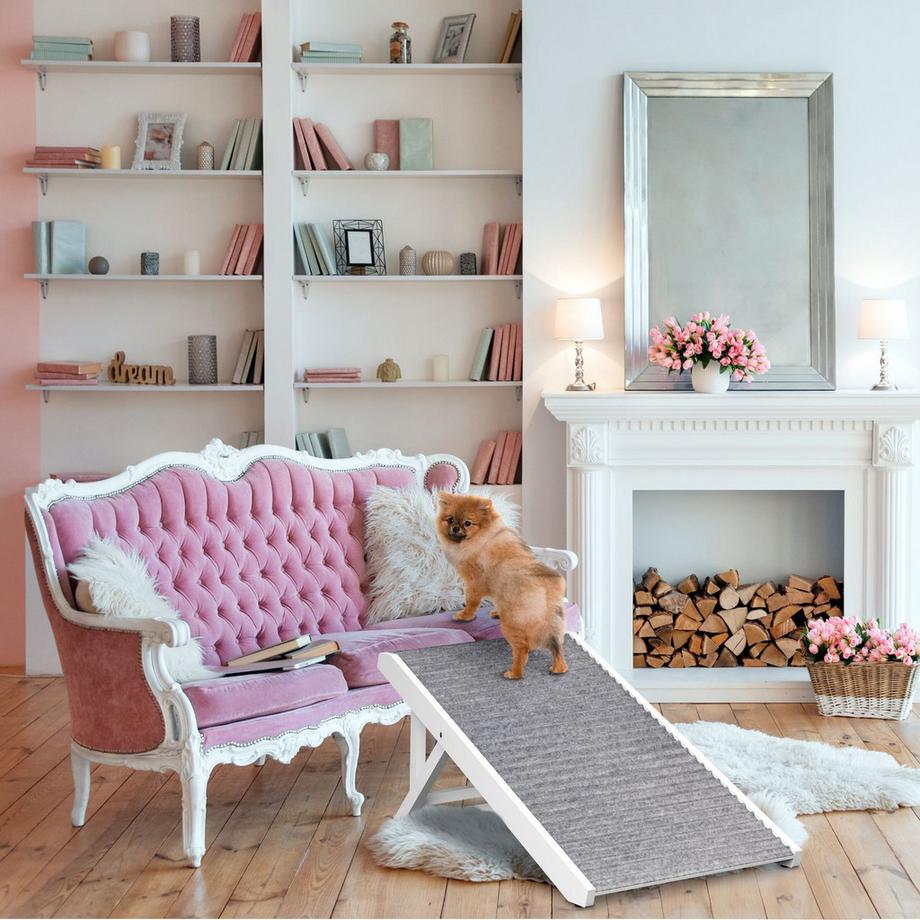 B2X  Rampa per cani regolabile in altezza 