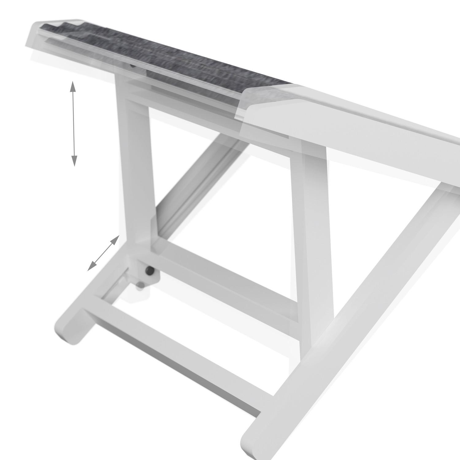 B2X  Rampe pour chien réglable en hauteur 