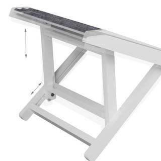 B2X  Rampe pour chien réglable en hauteur 