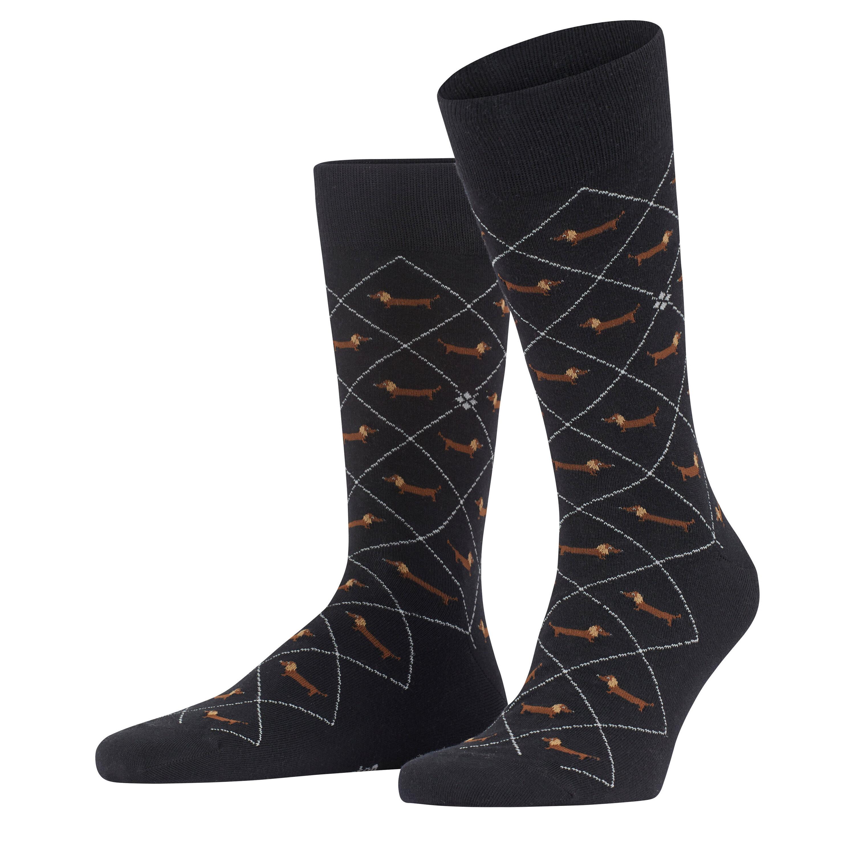 Burlington  socken dachshund 