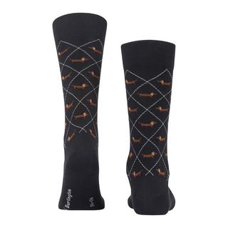 Burlington  socken dachshund 