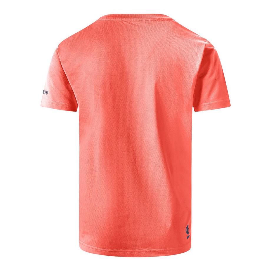 Dare 2B  Amuse Ii T-Shirt 