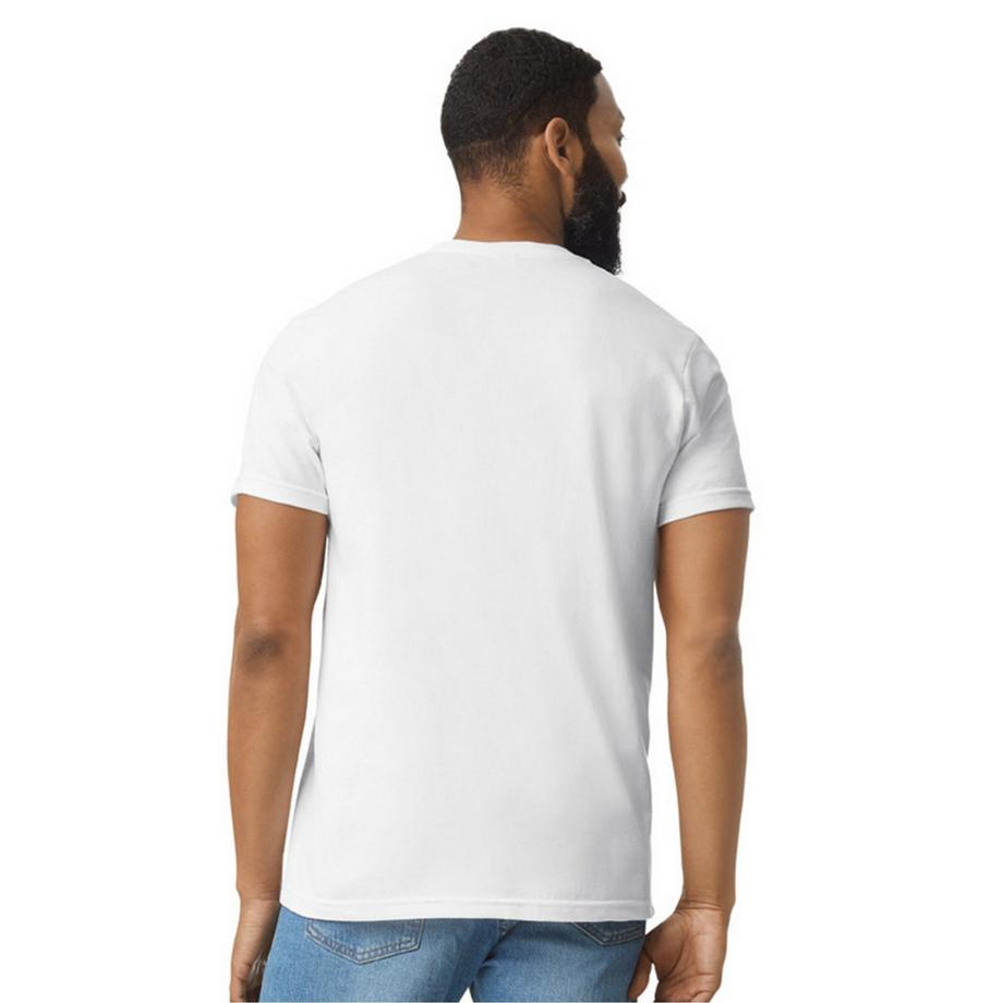 Gildan Softstyle CVC T-Shirt  