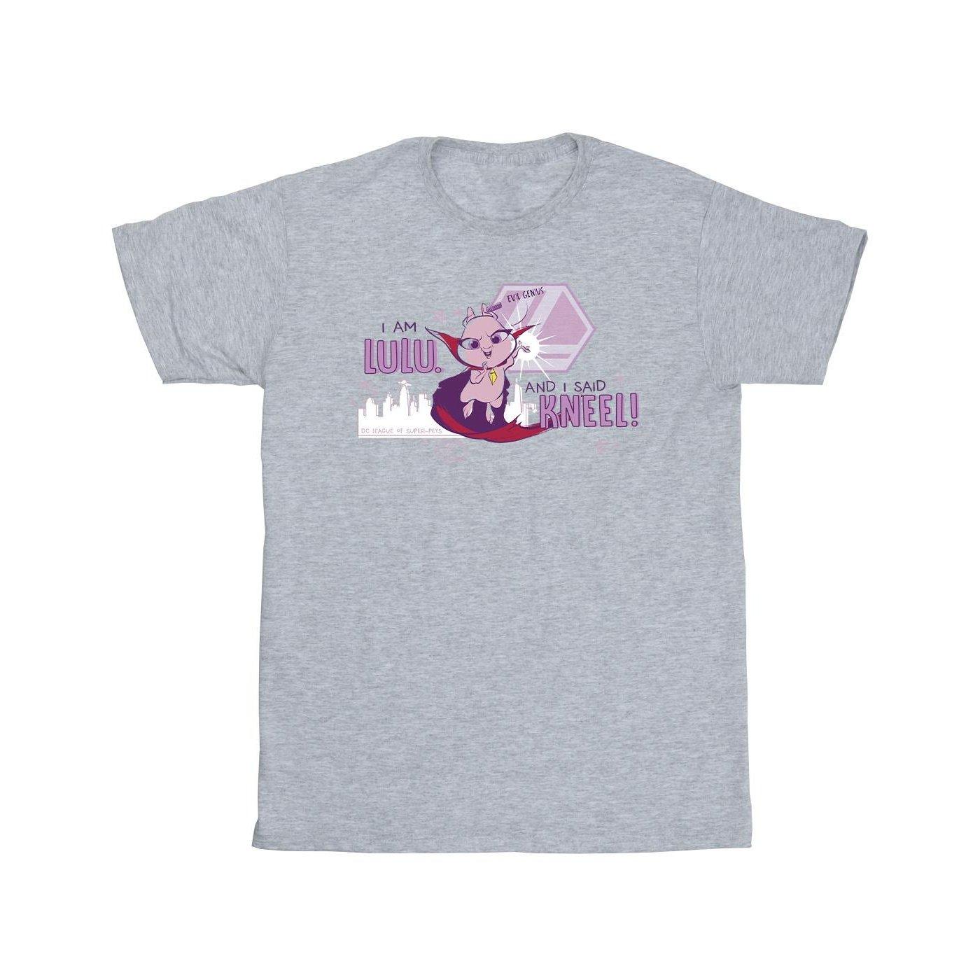 Image of Dc League Of Superpets Lulu Evil Genius Tshirt Jungen Grau 104