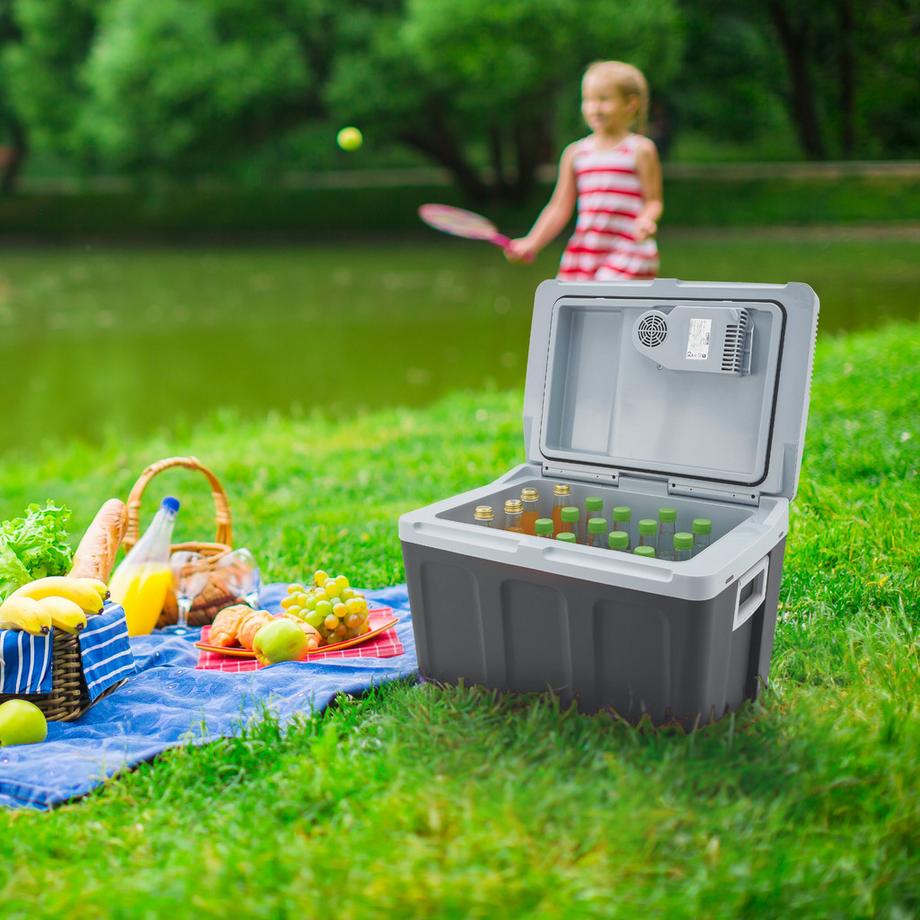 Arebos  Glacière de voiture 40L Glacière thermoélectrique 12V 230V Réfrigérateur 