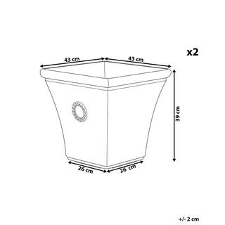 Beliani Lot de 2 pots de fleurs en Fibre d'argile Rétro ELATEIA  