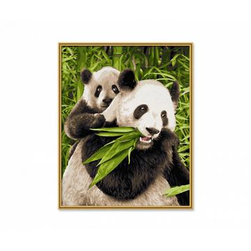 Tiermotive MNZ Pandabären