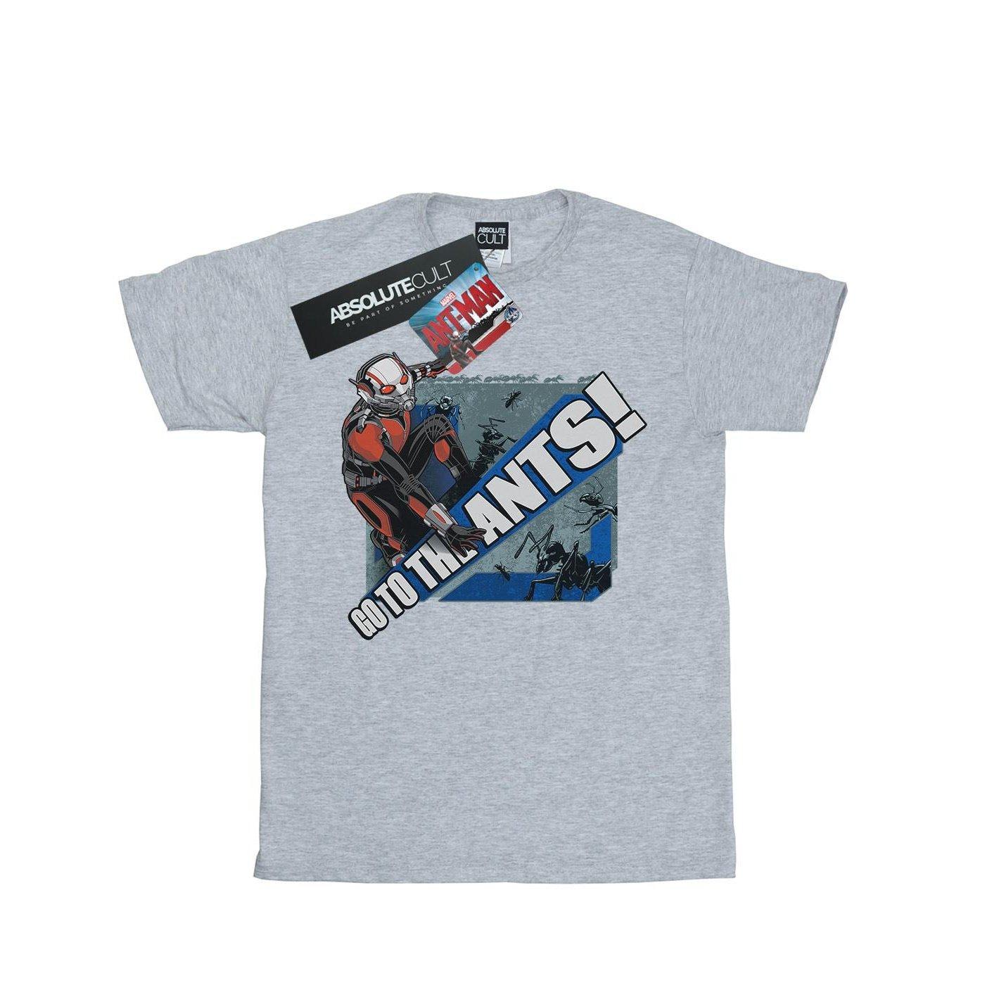 Image of Antman Go To The Ants Tshirt Herren Grau XXL