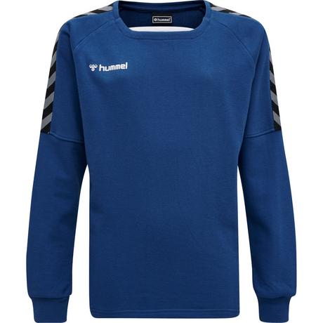 Hummel  pullover kind hmlauthentic training 