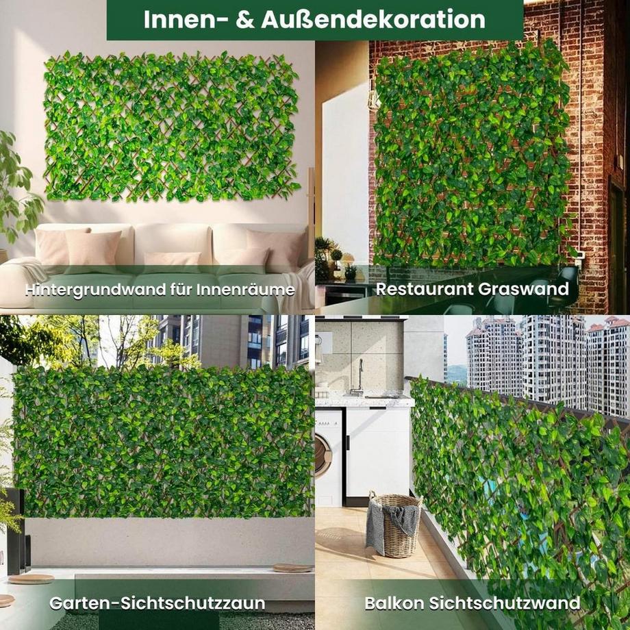 efeu sichtschutz kaufen Hecke am laufenden Meter® Efeu main image 0