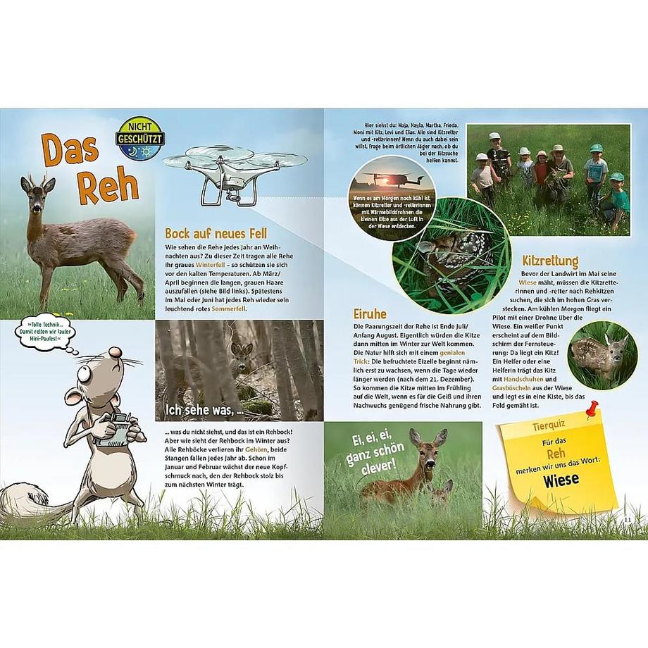 Jetzt verstehe ich die Tiere des Waldes Bock, Roland; Reiner, Johannes (Illustrationen); Britzger, Fred (Fotografie) Gebundene Ausgabe 