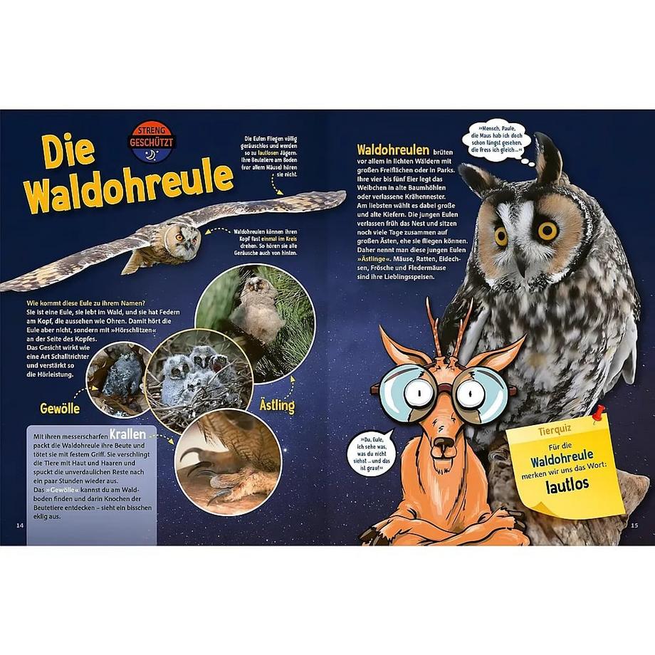 Jetzt verstehe ich die Tiere des Waldes Bock, Roland; Reiner, Johannes (Illustrationen); Britzger, Fred (Fotografie) Gebundene Ausgabe 