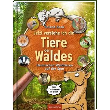 Jetzt verstehe ich die Tiere des Waldes