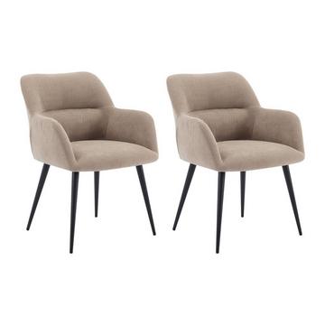 Lot de 2 chaisesAvec accoudoirs Tissu métal HEKA