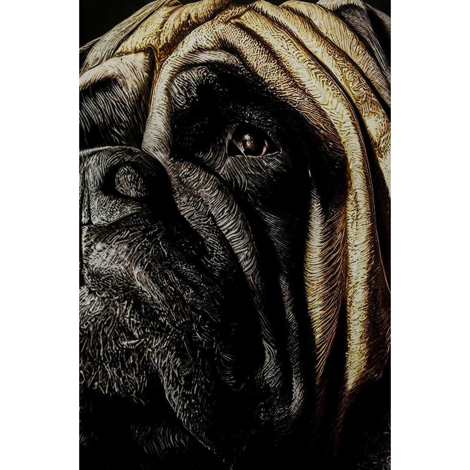 KARE Design Glasbild King Pug 40x60  