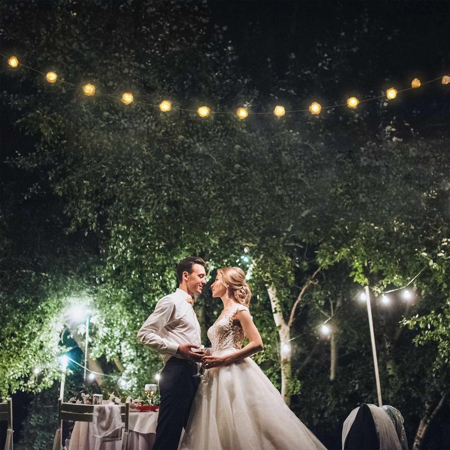 B2X  Guirlande lumineuse de roses 