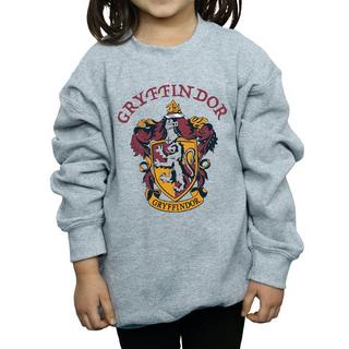 Harry Potter  Sweatshirt 