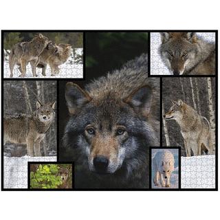 Ambassador  Puzzle Wolf (1000Teile) 