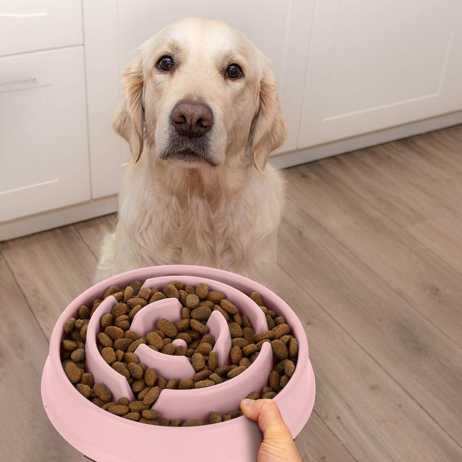 B2X  Anti-Schleuder-Schüssel 400 ml 