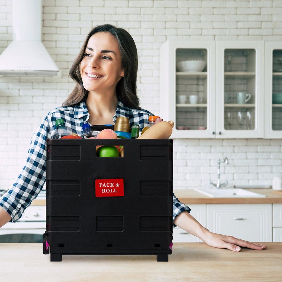 B2X  Carrello della spesa pieghevole 