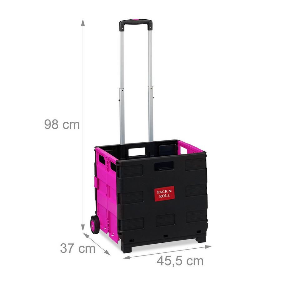 B2X  Carrello della spesa pieghevole 