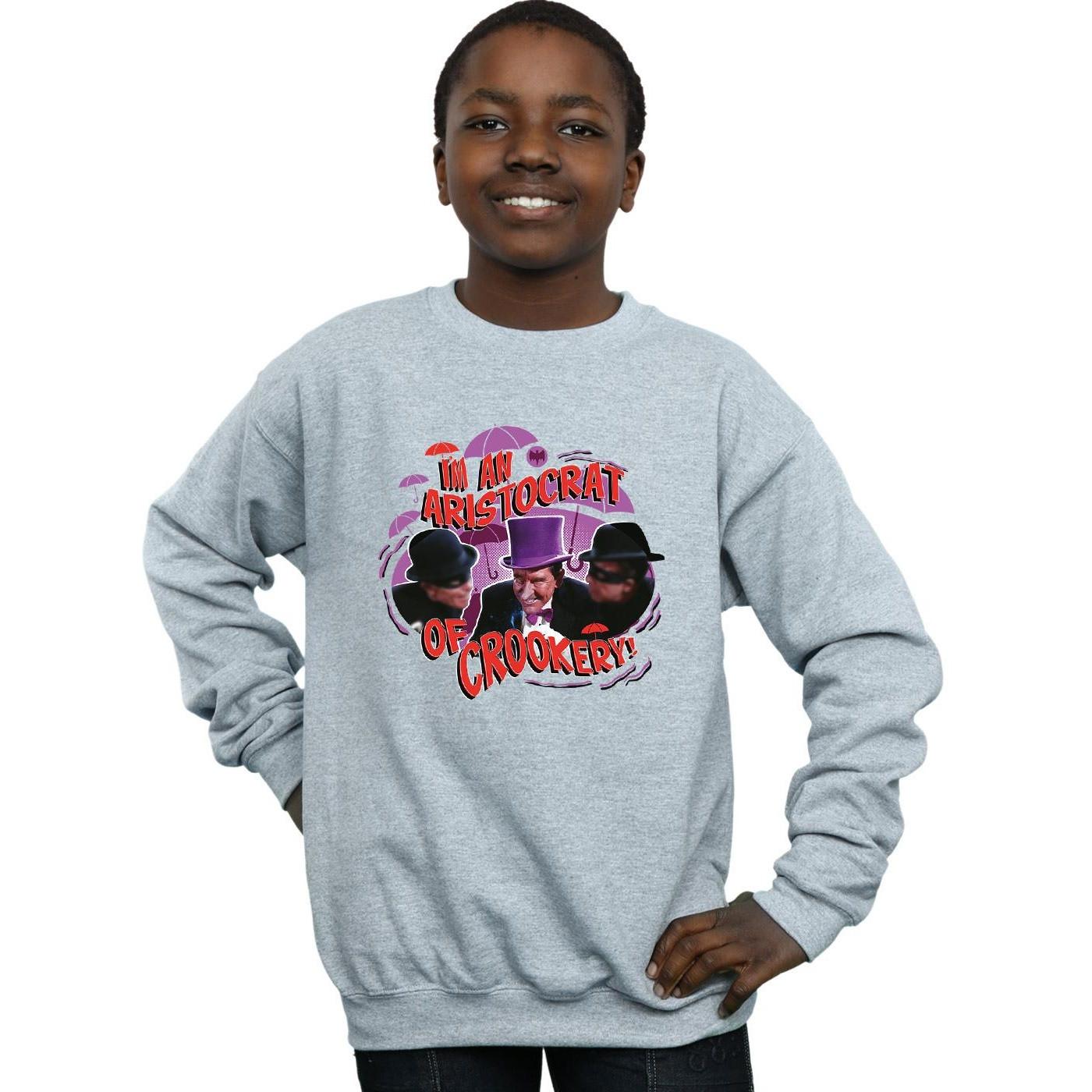 DC COMICS  Sweatshirt 