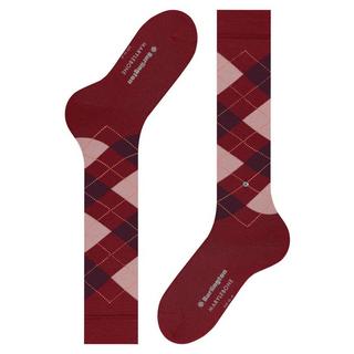 Burlington Marylebone Argyle Kniestrümpfe  