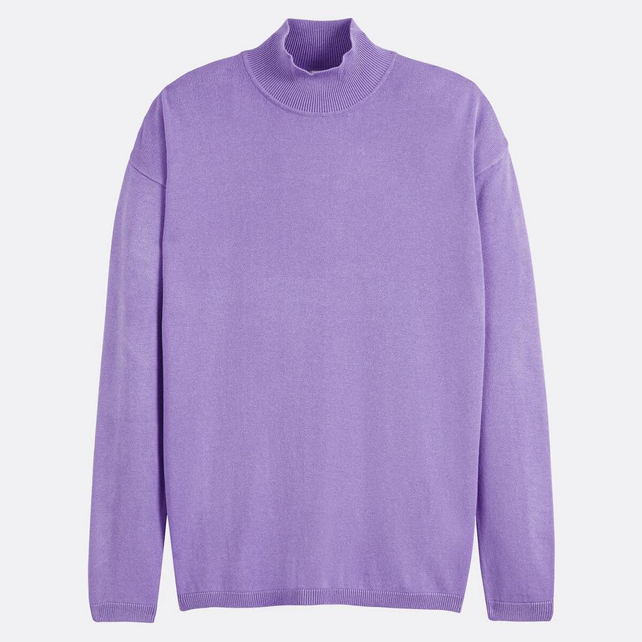 La Redoute Collections Pullover Collo Alto  