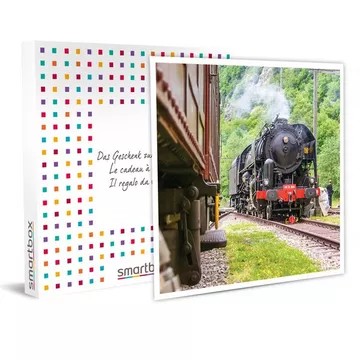 Tagesreise in der ersten Klasse mit Gourmetmahlzeit an Bord eines authentischen Dampfzuges - Geschenkbox