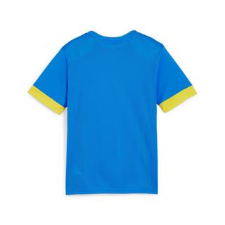 PUMA  maglia da allenamento per bambini teamgoal 