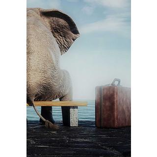 KARE Design Tableau en verre Elephant Journey 60x40  