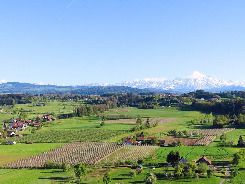 Smartbox  Vol privé en montgolfière d'1h30 dans le Toggenburg pour 5 personnes - Coffret Cadeau 